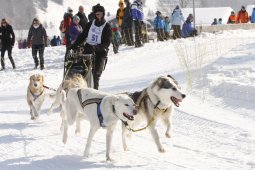 Lenk 2012 SM